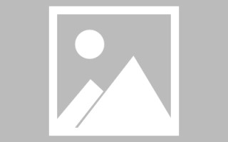 仙桃绥化网站搭建公司有哪些（信息网绥化）